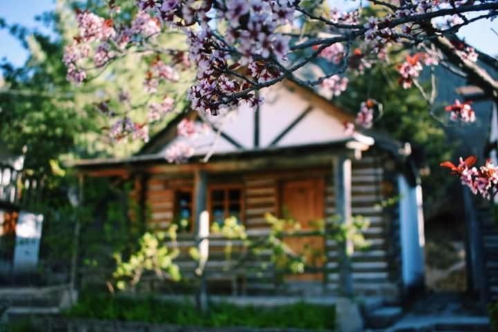 Cabanas Montebello Inn 크릴 외부 사진